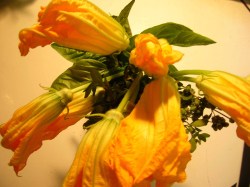 squash-blossoms-and-herbs.jpg